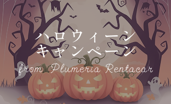 キャンペーン情報画像